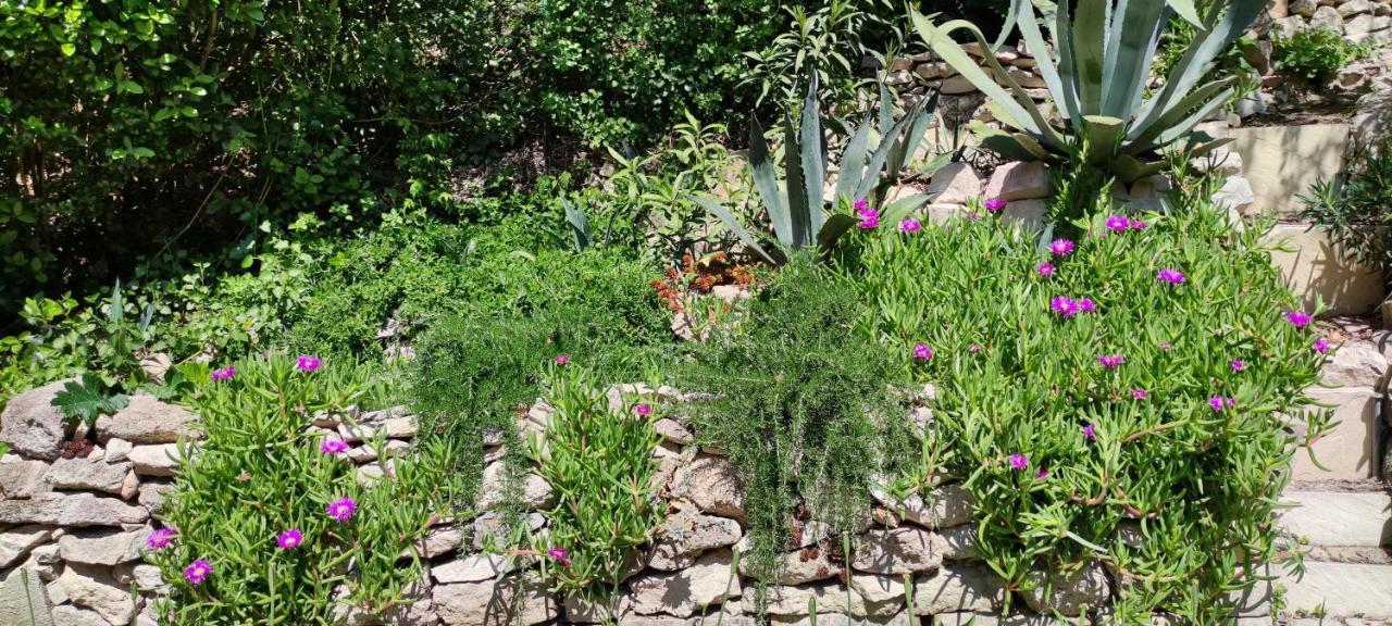Belle Dependance De 30M2 Avec Terrasse Et Jardin Appartement Villeneuve-lès-Avignon Buitenkant foto